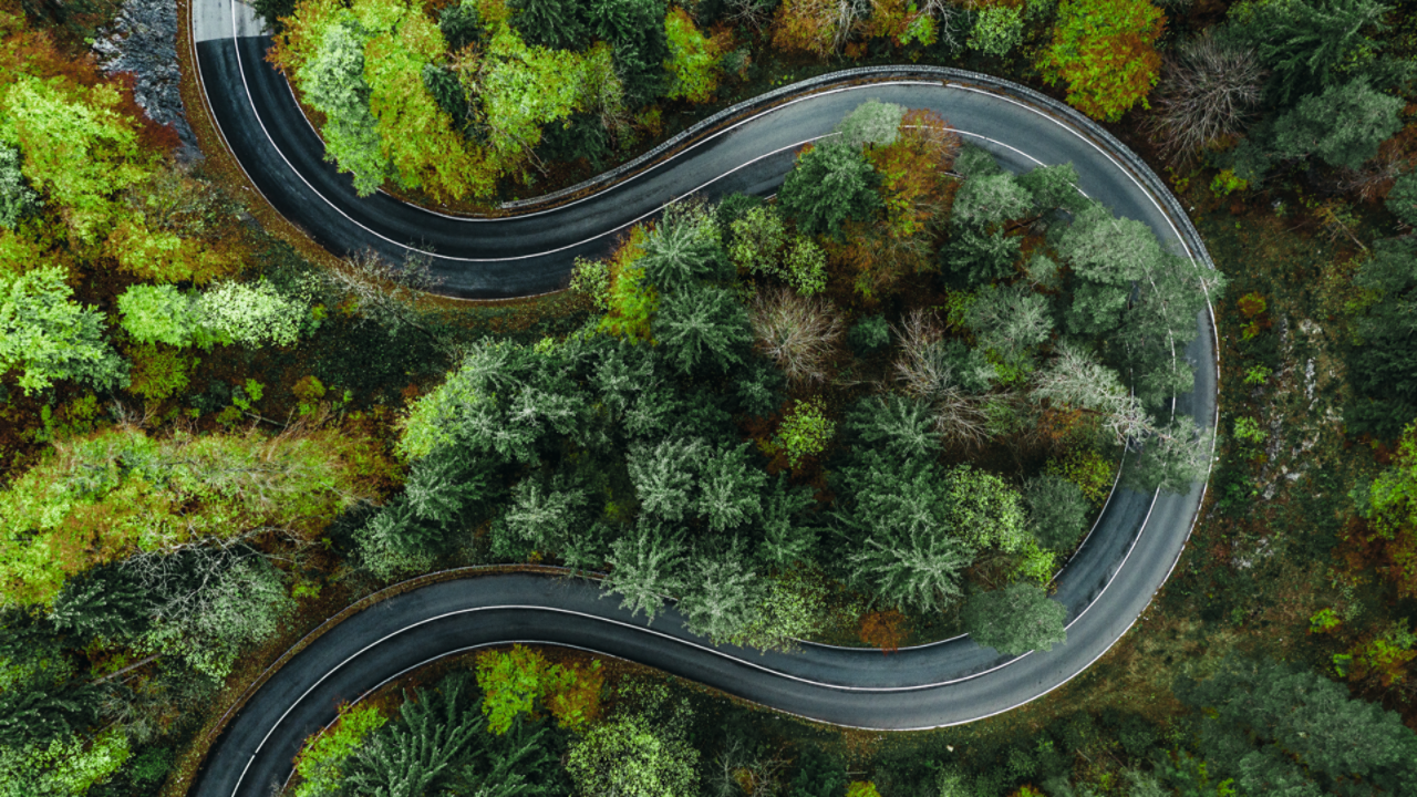 Kıvrımlı bir yol ve ağaçlar kuşbakışı görünüşü